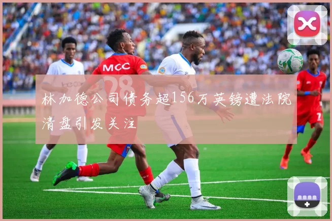 林加德公司债务超156万英镑遭法院清盘引发关注